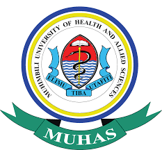 Admin and Finance Officer Job Opportunity at MUHAS