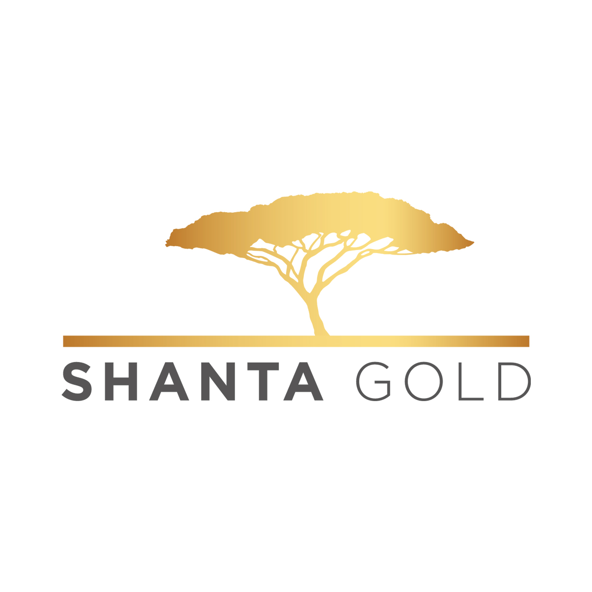 Process Plant Supervisor Job Opportunity at Shanta Gold