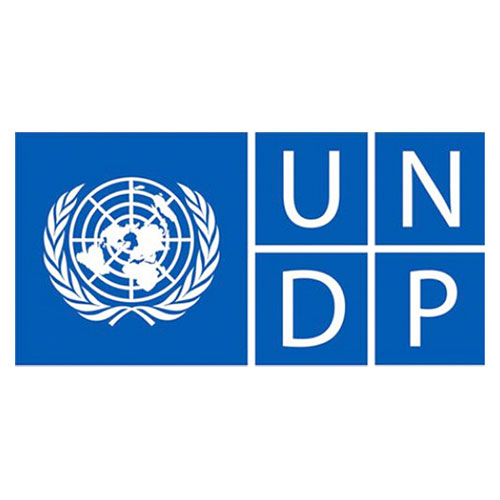 Gender Officer Job Opportunity at UNDP