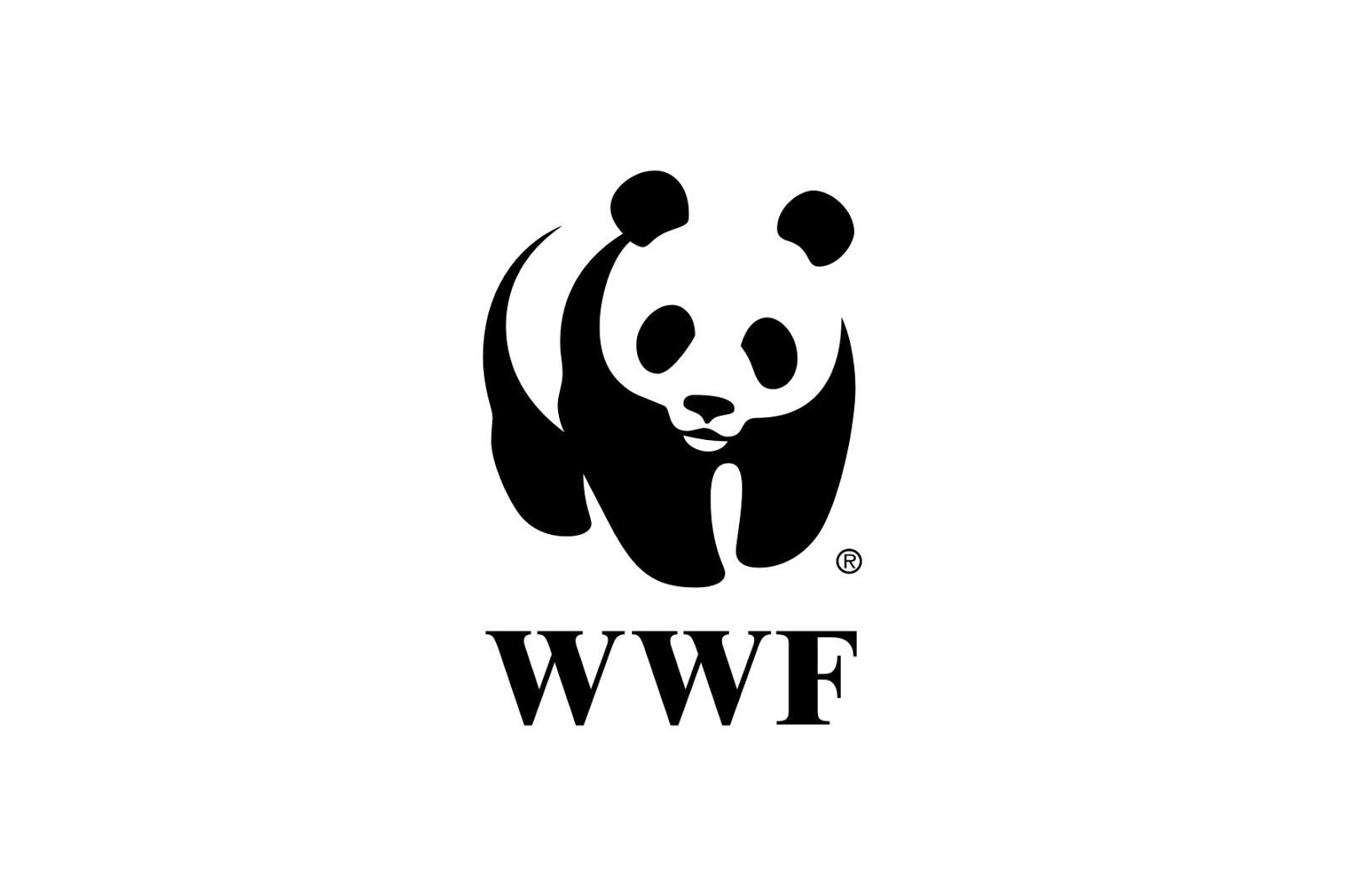 Request for Tender (RFT) at WWF - Insurance Service for WWF Tanzania Office Assets – FY 2026