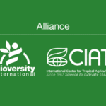Bioversity International
