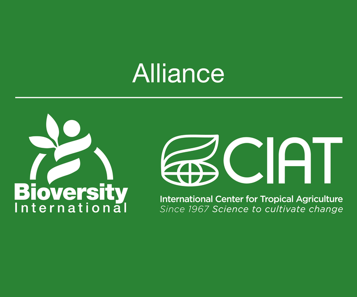 Senior Associate - Data Systems Vacancy at Bioversity International