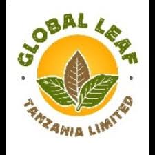 6 Job Vacancies at Global Leaf Tanzania Limited (GLT)