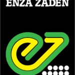 Enza Zaden Africa Ltd