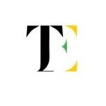 TEF Consult