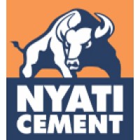 Senior Auto Electrician Job Opportunity at Lake Cemen