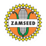 Zamseed Tanzania