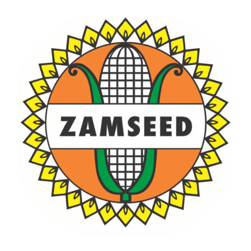 Job Listings: Exciting Opportunities at Zamseed Tanzania!