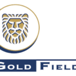 Gold Fields Group