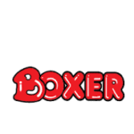 Boxer Superstores